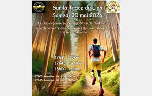 Sur la trace du Lion